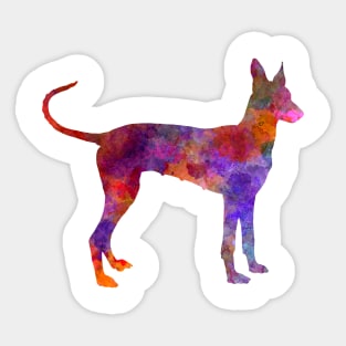 Cirneco Dell Etna in watercolor Sticker